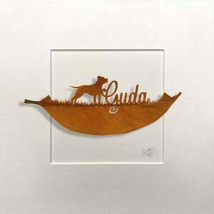 268 American stanford hoja