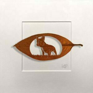 269 bulldog frances hoja