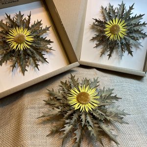 Eguzkilore Papel y Lino Pequeño