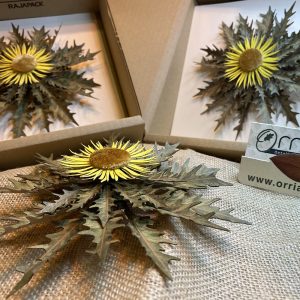 Eguzkilore Papel y Lino Pequeño 1